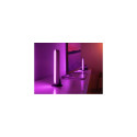 Philips Hue White and colour ambience Play light bar double pack