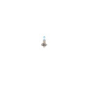 Bosch H1 12V 55W Xenon Blue 1tk