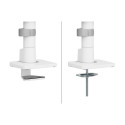 "Neomounts DS65S-950WH2 Tischhalterung für 2 Monitore bis 86cm 34"" 11KG Weiß"