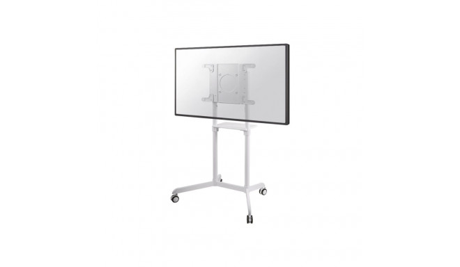 NS-M1250WHITE valge NewStar
