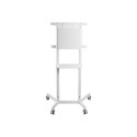 NS-M1250WHITE valge NewStar