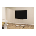NS-M1250WHITE valge NewStar