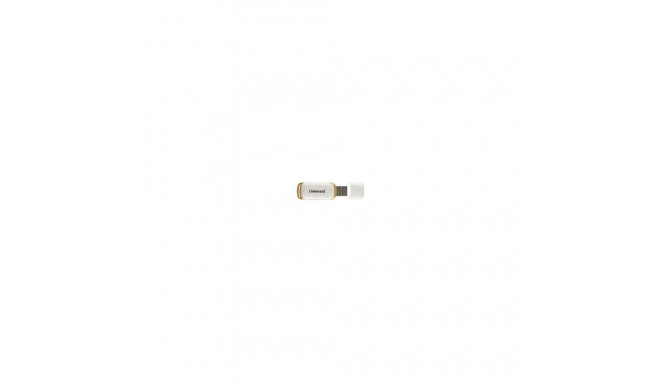 Intenso Green Line 64GB USB Stick 3.2 Gen 1