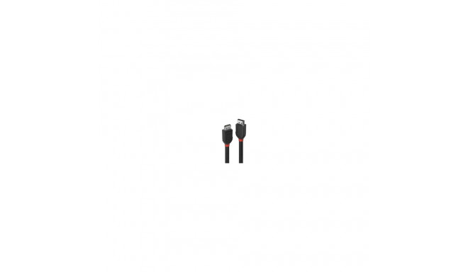 Lindy DisplayPort kaabel Black Line 3m
