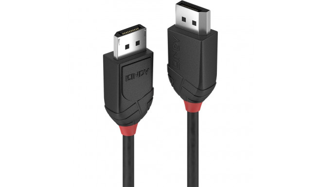 Lindy DisplayPort kaabel Black Line 2m