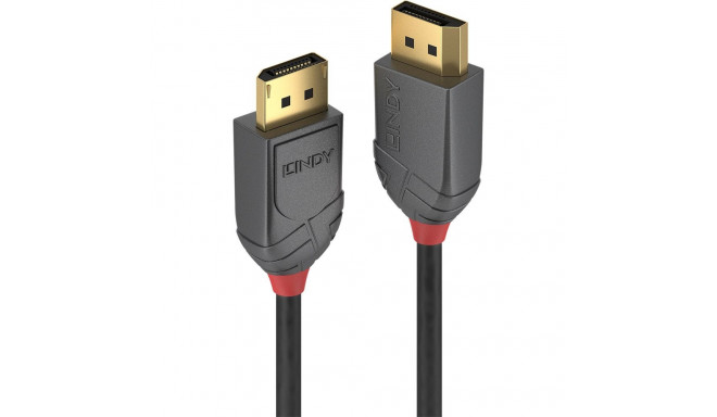 Lindy Anthra Line - DisplayPort cable - DisplayPort to DisplayPort - 2 m