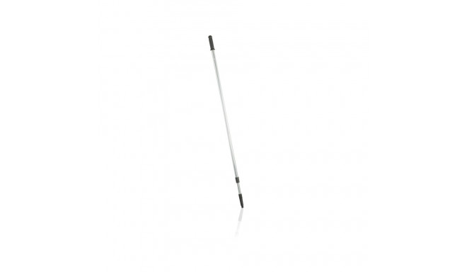 LEIFHEIT Telescopic aluminum pole Professional 250cm
