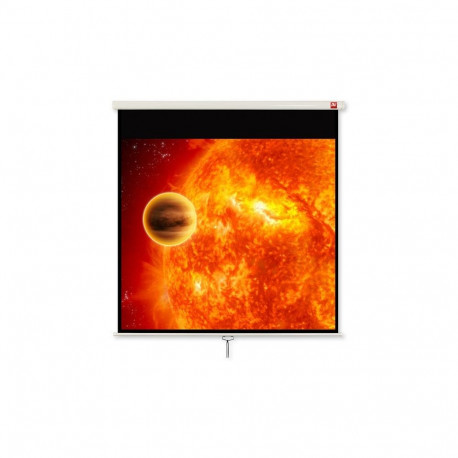 Avtek Video 280 projection screen 4:3
