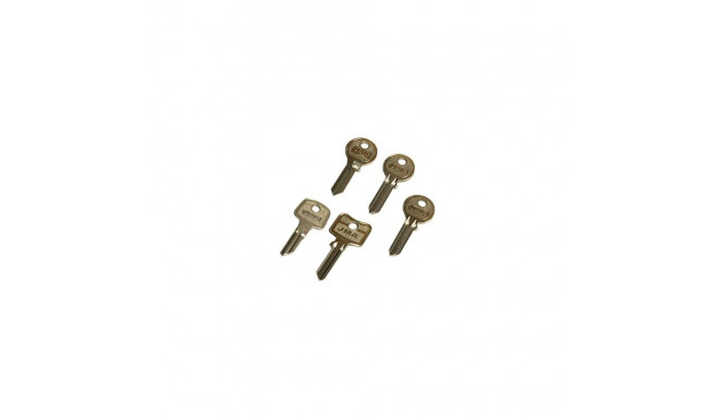 BLANK KEY CI-25