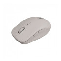 CANYON mouse MW-12 Dual band Wireless Beige