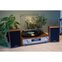 Lenco HiFi stereosüsteem vinüülplaadimängijaga, DAB+/FM-raadio ja Bluetoothiga MC-160WD stereosüstee