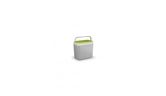 COOLER BOX GREY/GREEN 9130 26L