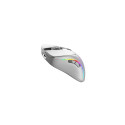 Glorious Gaming Glorious Model D 2 Wireless - Matte White