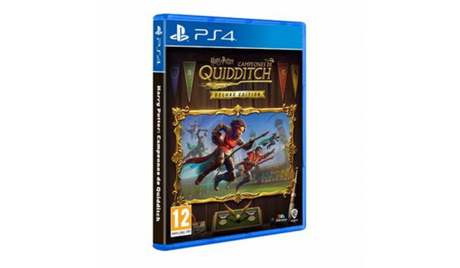 PlayStation 4 Video Game Sony Harry Potter Campeones de Quidditch