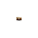 Asus ASUS TUF Gaming VG328H1B 31.5i Gaming VG