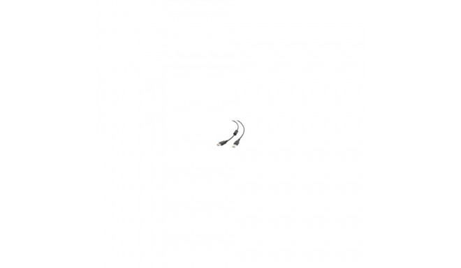 Gembird GEMBIRD CCF-USB2-AMAF-10 Gembird USB 2.0