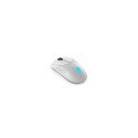 Dell MOUSE USB OPTICAL WRL AW720M/545-BBDO