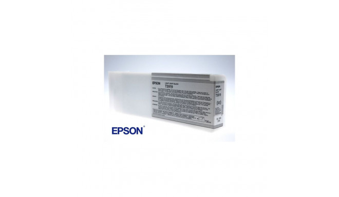 EPSON T591900 Ink cartrige, Light Light Black