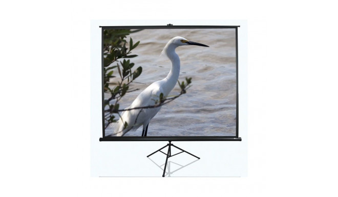 Elite Screens Tripod Series T120UWV1 Diagonal 120