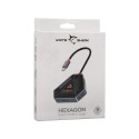 Sbox Hexagon 6 IN 1 Type-C HUB