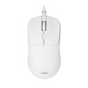 Baracuda BGC-012 Orca White Combo