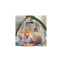 Fisher-Price 3-in-1 Music, Glow and Grow Gym