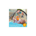 Fisher-Price 3-in-1 Music, Glow and Grow Gym