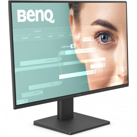 "BenQ GW2491"