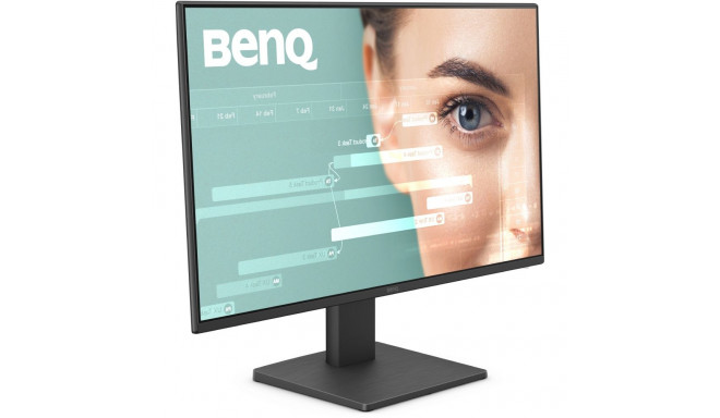 "BenQ GW2491"