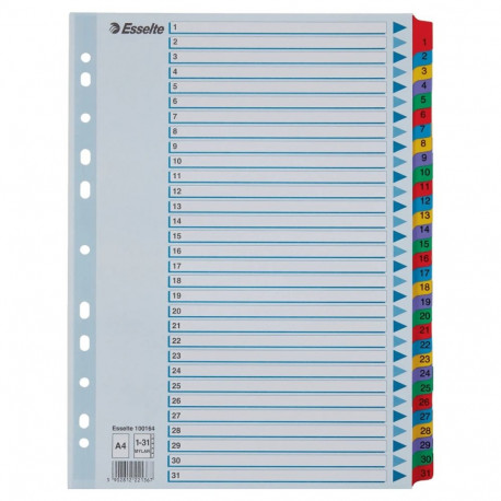 Registrilehed 1-31 värviliste numbritega, kartong, Esselte
