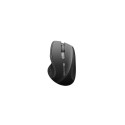 Canyon CNS-CMSW01B mouse Right-hand RF Wireless Optical 1600 DPI