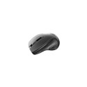 Canyon CNS-CMSW01B mouse Right-hand RF Wireless Optical 1600 DPI