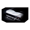 G.Skill Trident Z5 RGB 32 GB DDR5 5600 MHz PC/server registreerimata ECC-ta