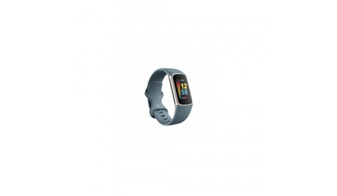 Fitbit Charge 5 Steel Blue Platinum