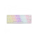 White Shark Shinobi GK-2022 white/red
