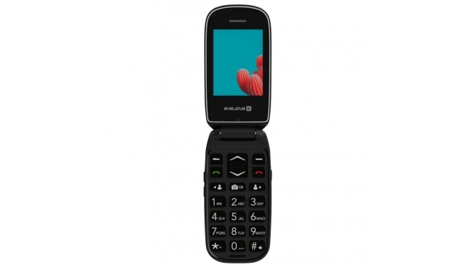Evelatus WAVE 2020 DS (EW02BK) Graphite Black