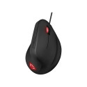 GXT144 REXXERGO MOUSE