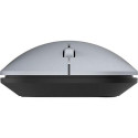 TERRA NBM1000S mouse Ambidextrous RF Wireless + Bluetooth Optical 4000 DPI