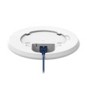 Teltonika TAP200 wireless access point 867 Mbit/s White Power over Ethernet (PoE)