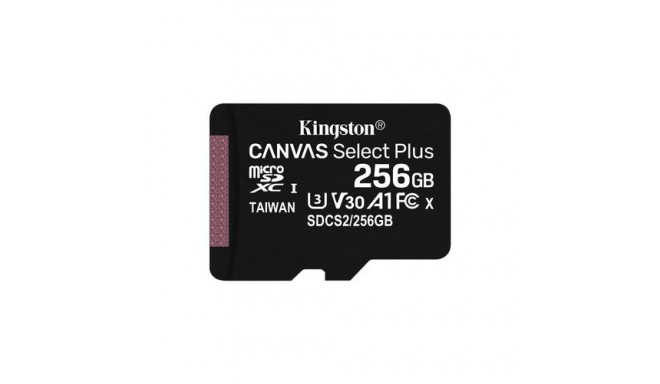 Kingston Technology 256GB micSDXC Canvas Select Plus 100R A1 C10 Single Pack w/o ADP