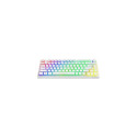 Savio Phenix WHITE GAT RED PUD keyboard Gaming USB + Bluetooth QWERTY US International