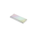 Savio Phenix WHITE GAT YELLOW keyboard Gaming USB + Bluetooth QWERTY US International