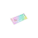 Savio Phenix WHITE GAT RED PUD keyboard Gaming USB + Bluetooth QWERTY US International