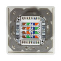 LogiLink NP0124 socket-outlet 2 x RJ-45 Metallic, White