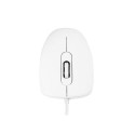 Modecom MC-M10 mouse Office Ambidextrous USB Type-A Optical 1000 DPI
