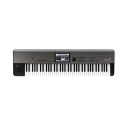 Korg KROME EX 73 digital piano 73 keys Grey