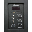 C-TECH VIRTUS loudspeaker Black Wired &amp; Wireless 100 W