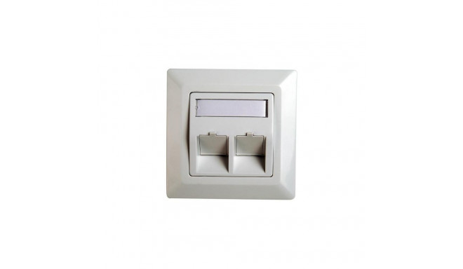 Telegärtner Frame for RJ45 adaptor Cat.5e, 45° outlet, double, 80x80 mm, alpine white