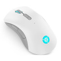 Lenovo Legion M600 Wireless Gaming mouse Ambidextrous RF Wireless + Bluetooth + USB Type-A Optical 1
