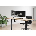 Neomounts FPMA-D1330DSILVER Monitor arm 10-27&quot;